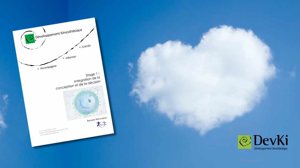 Stage cours DevKi conception