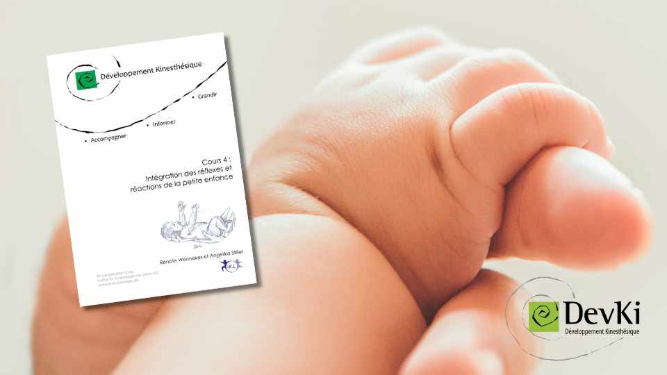 Stage cours DevKi réflexes
