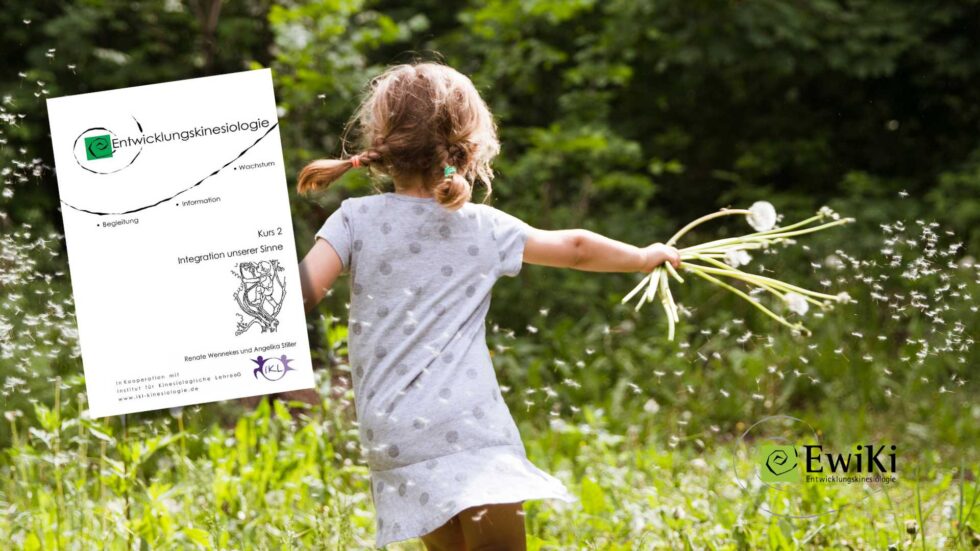 Sinne Entwicklungskinesiologie Ewiki Kurs