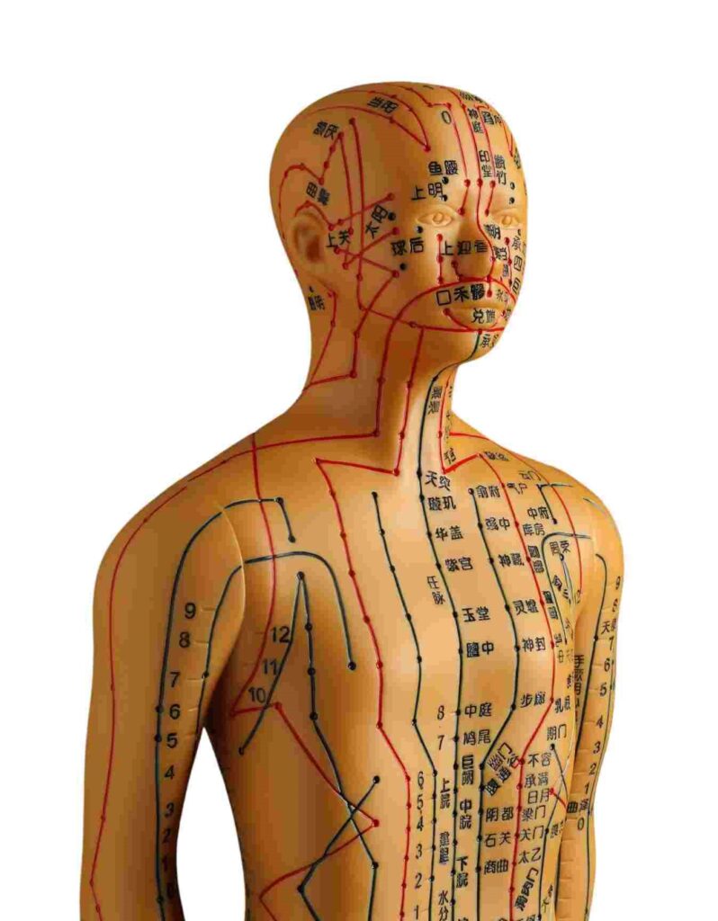 Kinderwunsch Kinesiologie TCM Meridiane