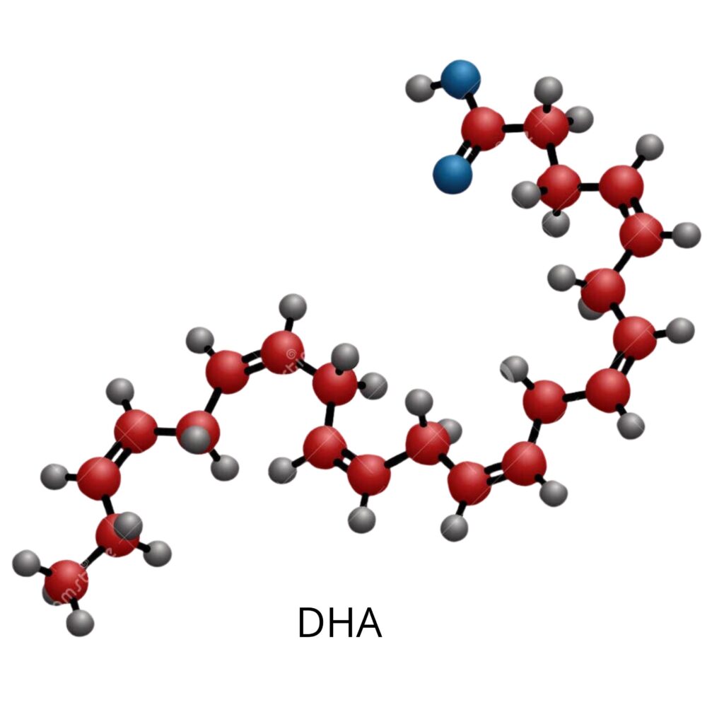 Omega-3 Struktur Fettsäure DHA