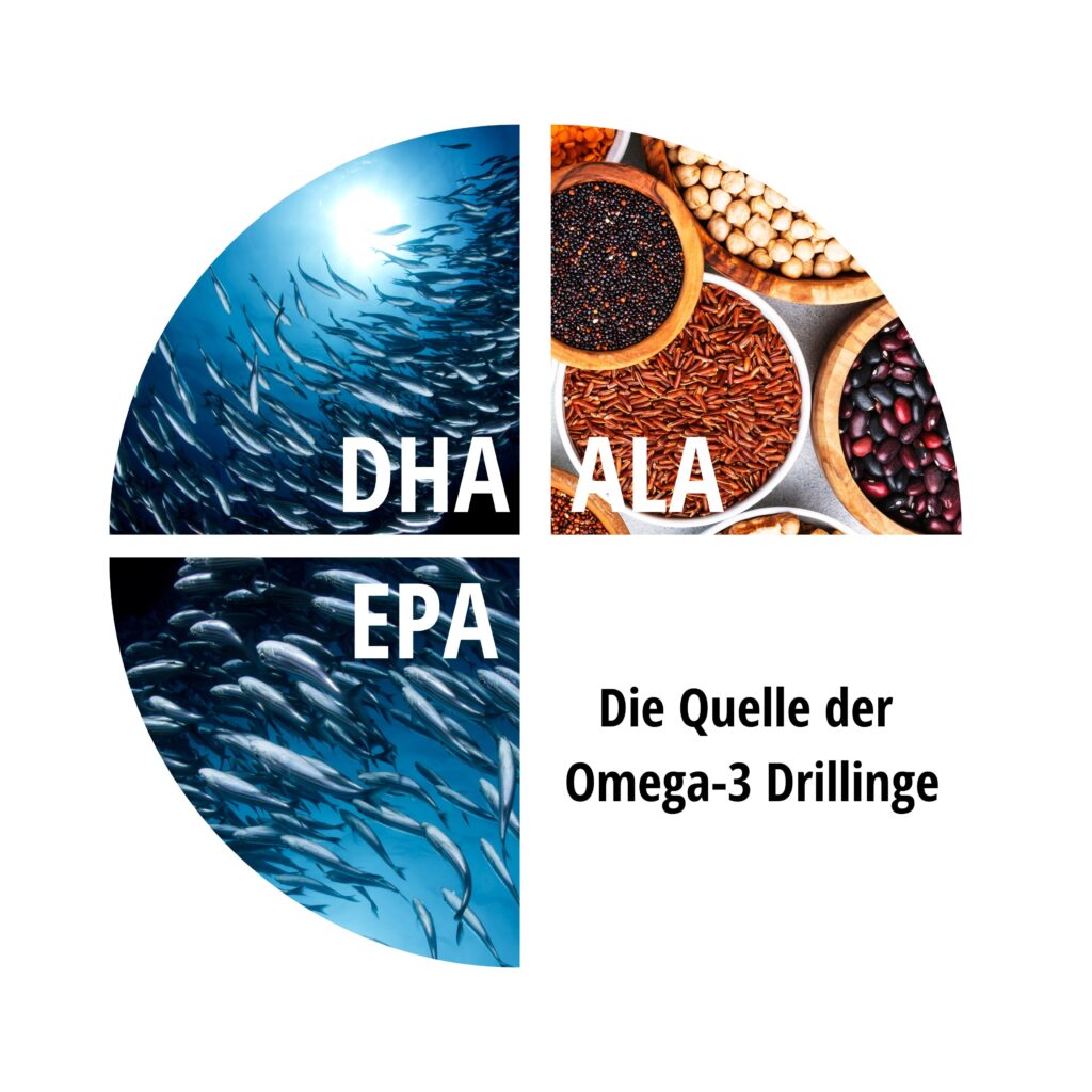 Omega-3 Quellen