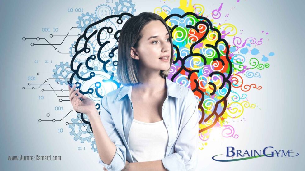 Brain Gym Kurs Optimale Gehirnorganisation