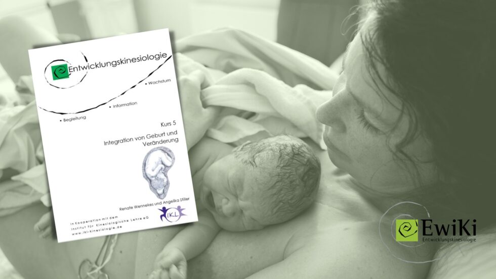 Kurs Entwicklungskinesiologie Geburt